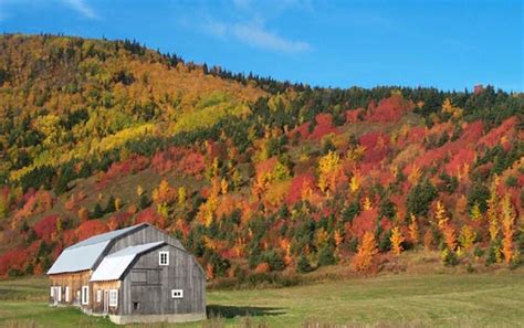 Quebec Countryside Getting Ready To Burst Into The Colours Of Fall