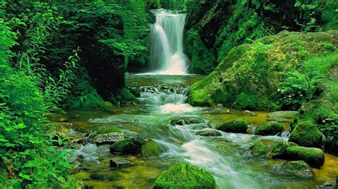 Download Nature Forest Green Waterfall Hd Wallpaper