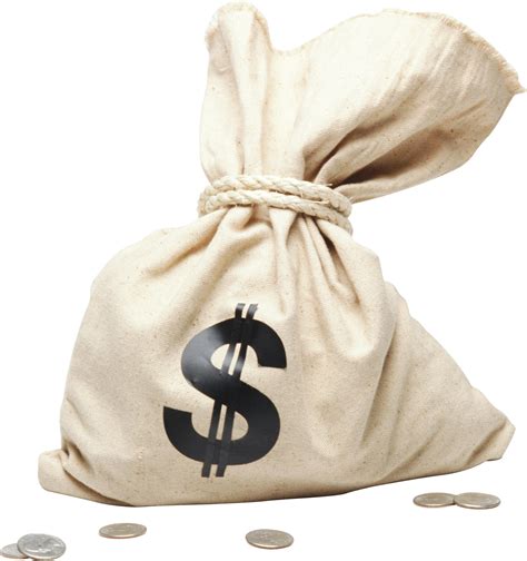 Money Bag Png Image Transparent Image Download Size 1818x1935px