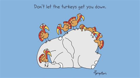 Dont Let The Turkeys Get You Down Intheknow
