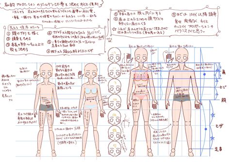 「くらべちゃえばいいのよ体の比率と男女の体格の違い」「tearcrown」のイラスト Pixiv 解剖学のチュートリアル 体