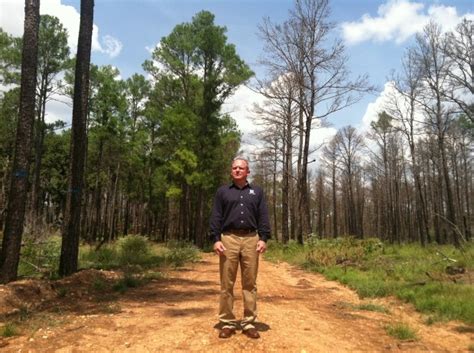 In Bastrops Ashes Officials Find A Lesson In Prescribed Burning