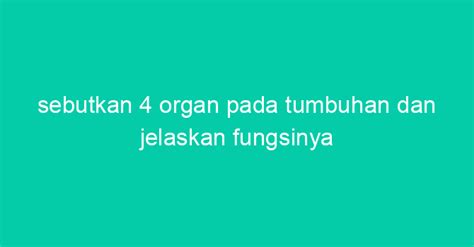 Sebutkan Organ Pada Tumbuhan Dan Jelaskan Fungsinya Akbar Post
