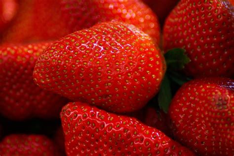 Strawberries Close Up Free Image Download