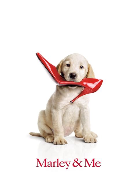 Marley is played by 22 different dog actors in the film. Marley & Me | Movie fanart | fanart.tv