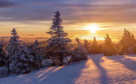 Snowy Forest At Sunrise Wallpapers Wallpaper Cave