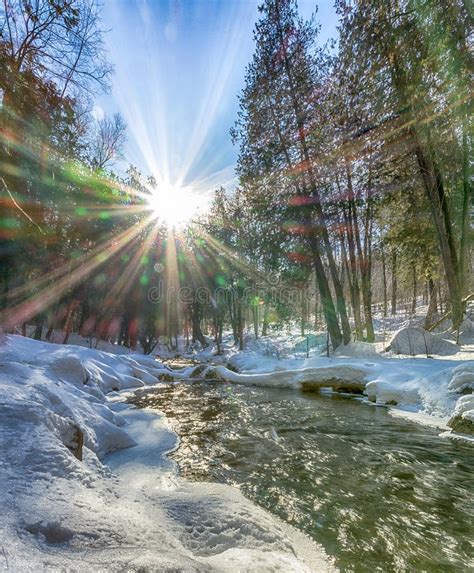 Sunny Winter Morning On Snake River Stock Photo Image Of Outdoor