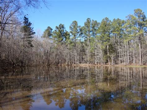Appalachian realty has the inside track to the finest homes and land in the north georgia mountains. Pond, Pond House, Land : Ranch for Sale in Ridgeway ...