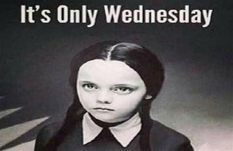 Its Wednesday These Memes Will Help Get You To Friday In 2021 Hey