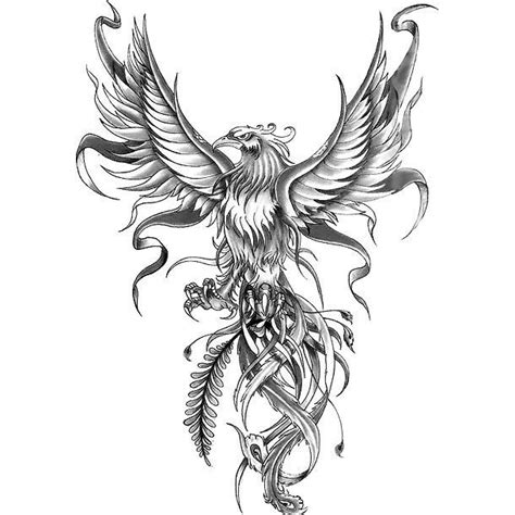 The Phoenix Is Generally Thought To Be A Symbol Of Freedom Color Gray