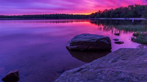 Beautiful Purple Scenery View With Reflection Of Trees On Water 4k Hd