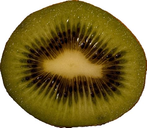 Kiwi Png Image Free Fruit Kiwi Png Pictures Download Transparent Image