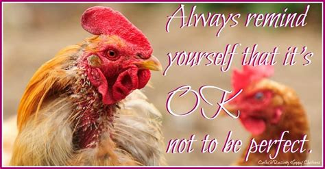 Pin By Raising Happy Chickens Ideas On Life Quotes Chicken Quotes