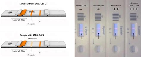 Novel Rapid Test Strip Med Healthcare Technology Pte Ltd