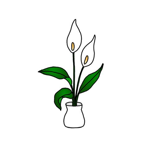 Simple Drawings Of Lilies