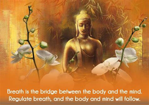 Breath Body And Mind