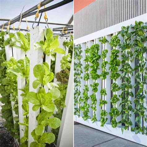 Vertical Hydroponic Gardening Setup Ideas Advantages Gardening Tips