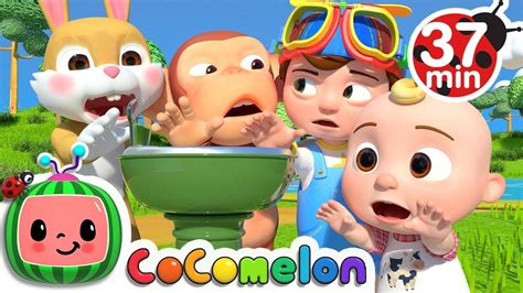 Wait Your Turn Cocomelon Nursery Rhymes And Kids Songs