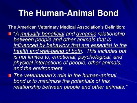 Ppt The Human Animal Bond Powerpoint Presentation Free Download Id