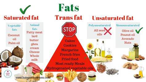 Good Fats Vs Bad Fats Nutrita