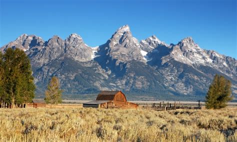Generally the closer to sunrise you capture these, the better that orange glow on the front of the barns is going to be. Mormon Row in Grand Teton National Park - AllTrips