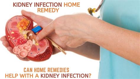 Kidney Infection Home Remedy Can Home Remedies Help With A Kidney