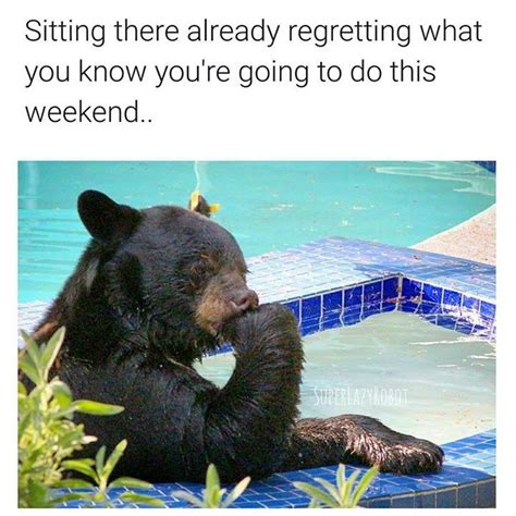 16 Fresh Animal Memes To Add Some More Awesomeness To Your Sunday
