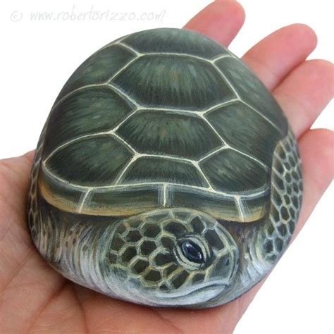 We did not find results for: Turtle Painting Rock at PaintingValley.com | Explore ...