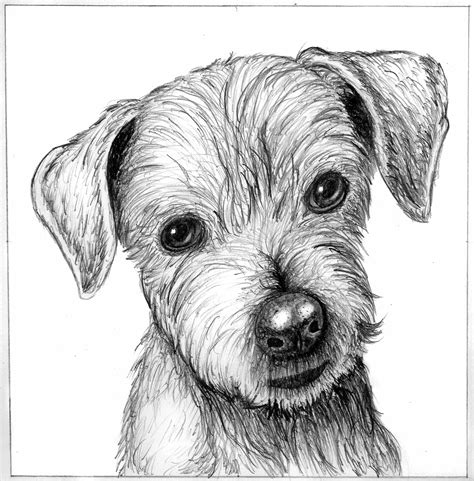Dogs Sketch Picture By Rssatnam For Line Work Drawing Contest
