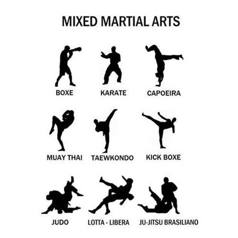 Pin By Nekhai Hong On Fitness Is Life Martial Arts Styles Mixed