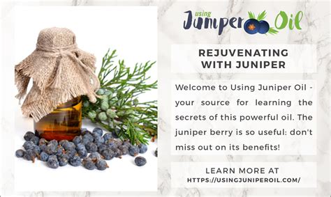 Using Juniper Oil 7 Remarkable Benefits Of Juniper Berry Essential Oil