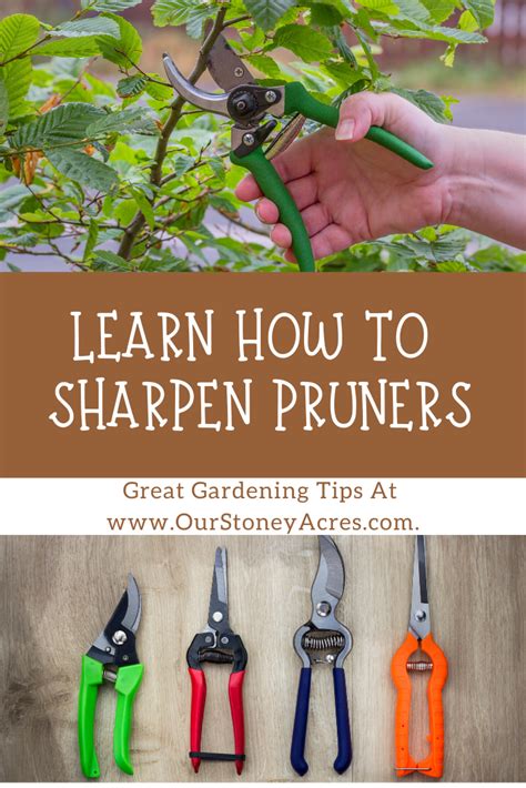 It's the world's first innovation of its kind. How to Sharpen Pruners | Pruners, Garden tools, Organic ...