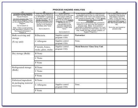 Process Hazard Analysis What If Template