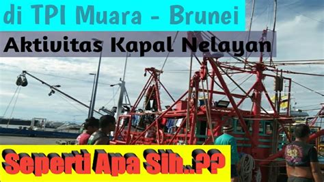 AKTIVITAS KAPAL NELAYAN DI MUARA BRUNEI Melihat Hasil Tangkapan Ikan