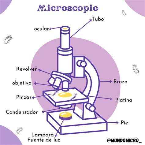 Microbiolog A Imagenes De Microscopio Laboratorios De Ciencias Microbiolog A