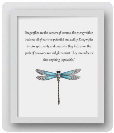 Pin By Sherri Tyler On Inspiration Dragonfly Quotes Dragonfly