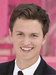 Ansel Elgort Net Worth, Bio, Height, Family, Age, Weight, Wiki - 2021