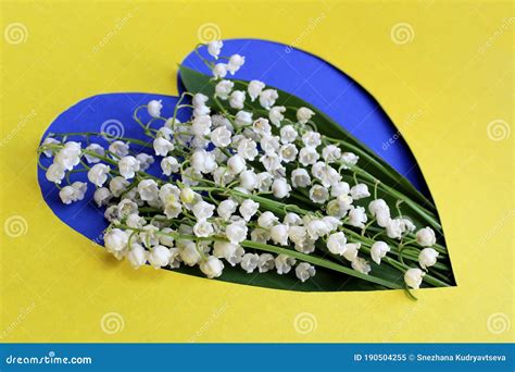 White Lilies Of The Valley Are Located Inside A Paper Cut Heart Stock