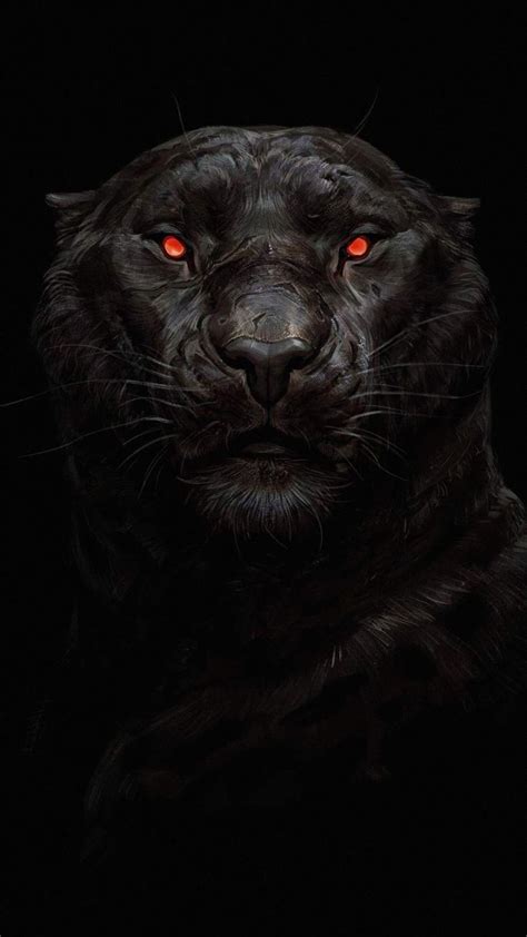 Cool Black Panther Animal Iphone Wallpapers Top Free Cool Black