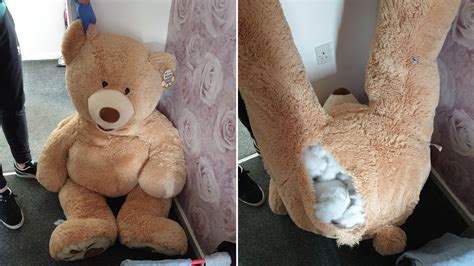 Teenager Jailed After Trying To Hide From Police In A Giant Teddy Bear Uk News Sky News