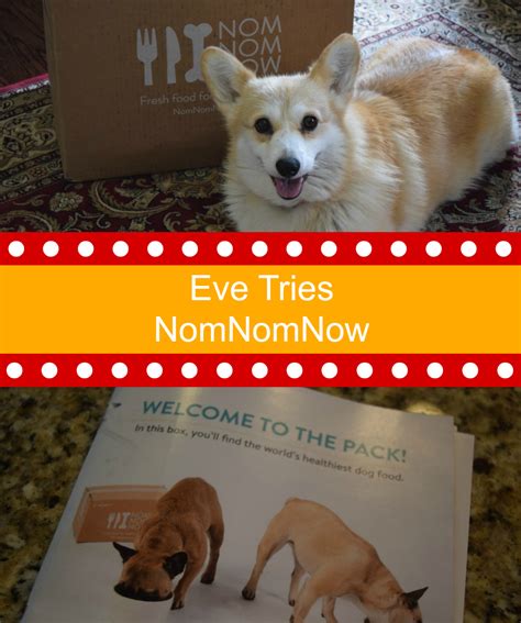 You and your furry friends will love these healthy meals delivered to your door. NomNomNow Fresh Dog Food Delivery - Some Pets