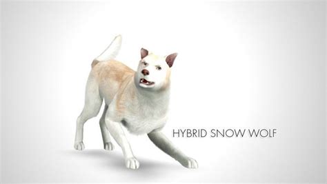 Hybrid Snow Wolf By Morganabananasims Sims 3 Downloads Cc Caboodle
