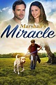 ‎Marshall's Miracle (2015) directed by Jay Kanzler • Reviews, film ...