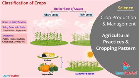 Crop Production And Management Class 8 Science Agricultural Practices