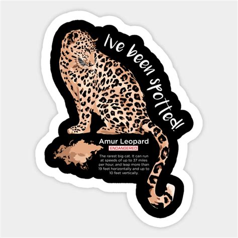 Armur Leopard Amur Leopard Sticker Teepublic
