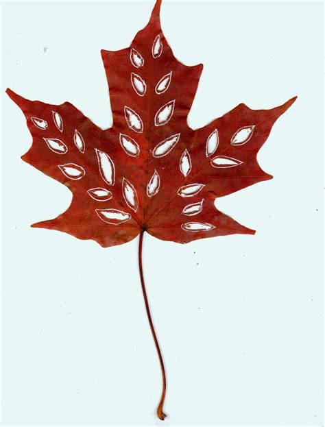 Dharmakarmaarts Leaf Art In Autumn