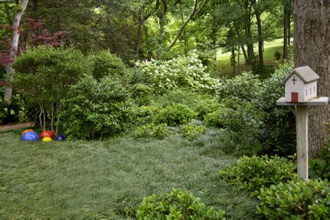 Mondograss And Shrubs Sperry Backyard Neil Sperrys Gardens Magazine