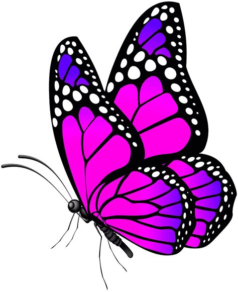 Pink Butterfly Transparent Background Png Png Arts