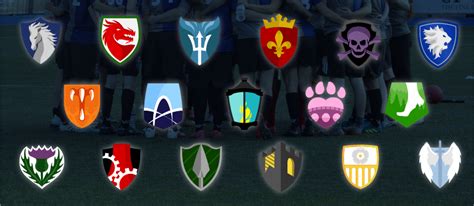 What Is The Quidditch Premier League — The Quidditch Premier League