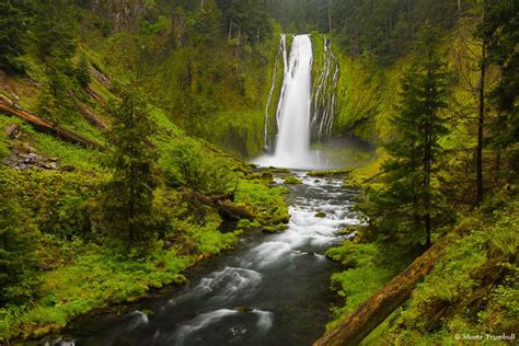 Lemolo Falls Umpqua National Forest Oregon Pinterest